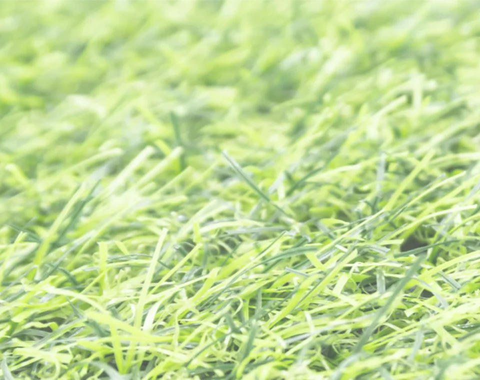 football turf suppliers