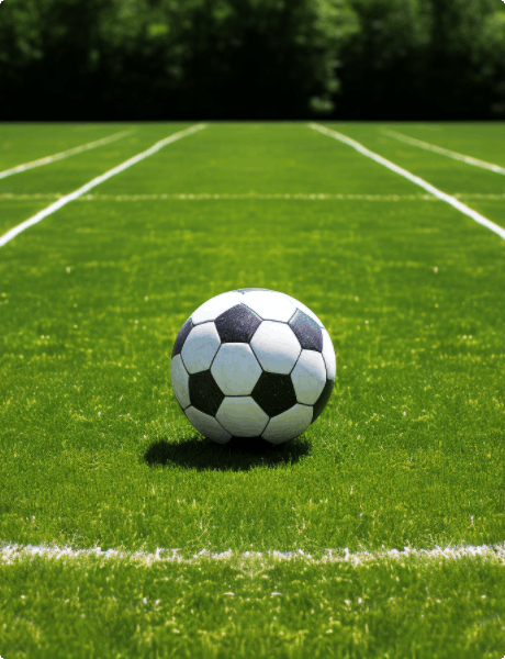 synthetic lawn solutions