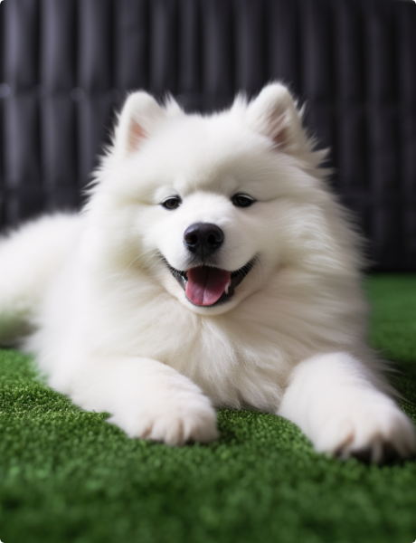 nylon artificial grass