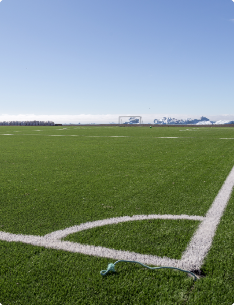outdoor artificial grass carpet for sale
