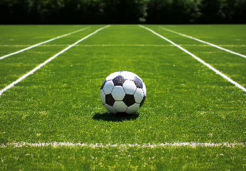 grass football field cost