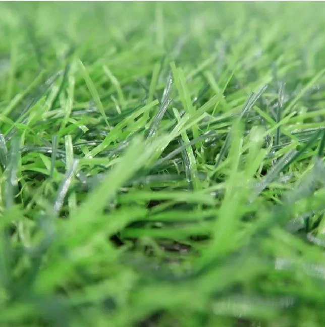 synthetic grass turf