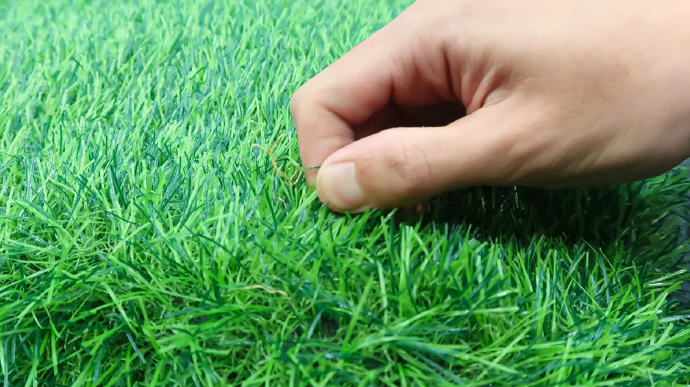 backyard turf cost