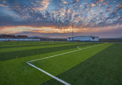 grass square for dogs