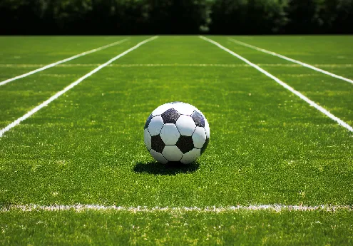 soccer field fake grass