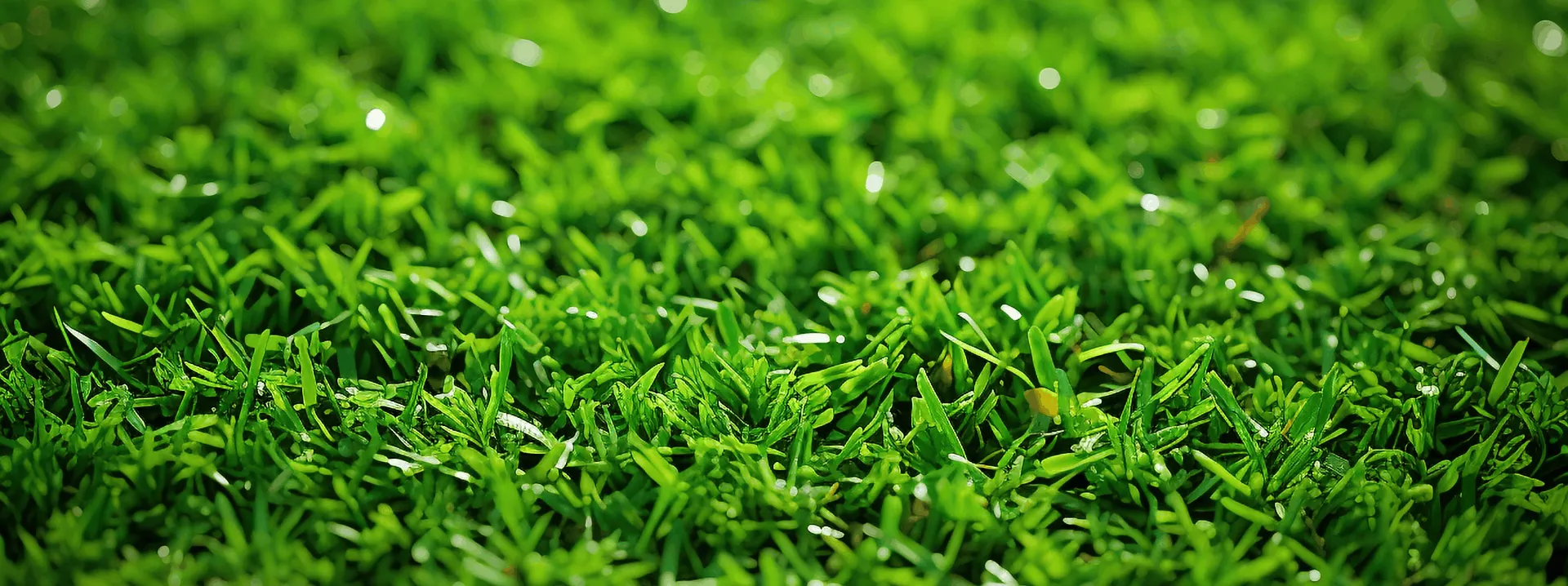croquet on artificial turf